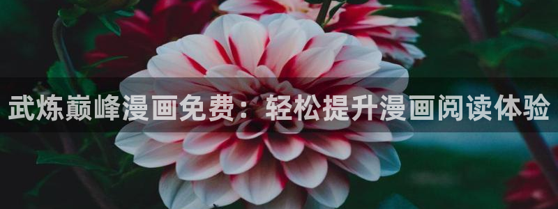 虫虫漫画下载app
