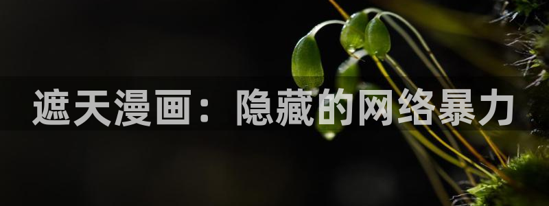 ,虫虫漫画