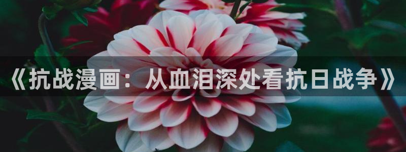 虫虫漫画网站链接
